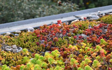 the cost of Cheslyn Hay green roof installation