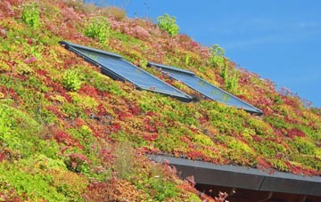 Cheslyn Hay living roof systems